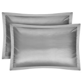 2 Pack Soft Silky Satin Pillow Case Hypoallergenic Breathable Bed Pillow Cover Queen Size Pillowcase Great for Hair Skin (Option: Silver)